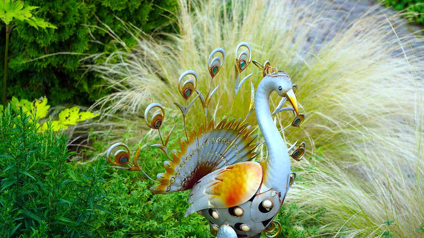 Wykorzystanie ziół – wypróbuj, jak naturalnie kurować niedogodności